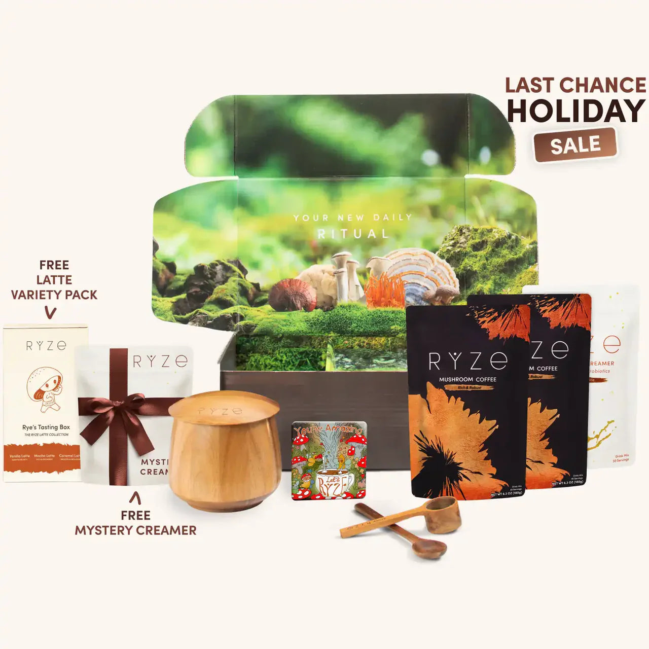 Mushroom Coffee RU31E