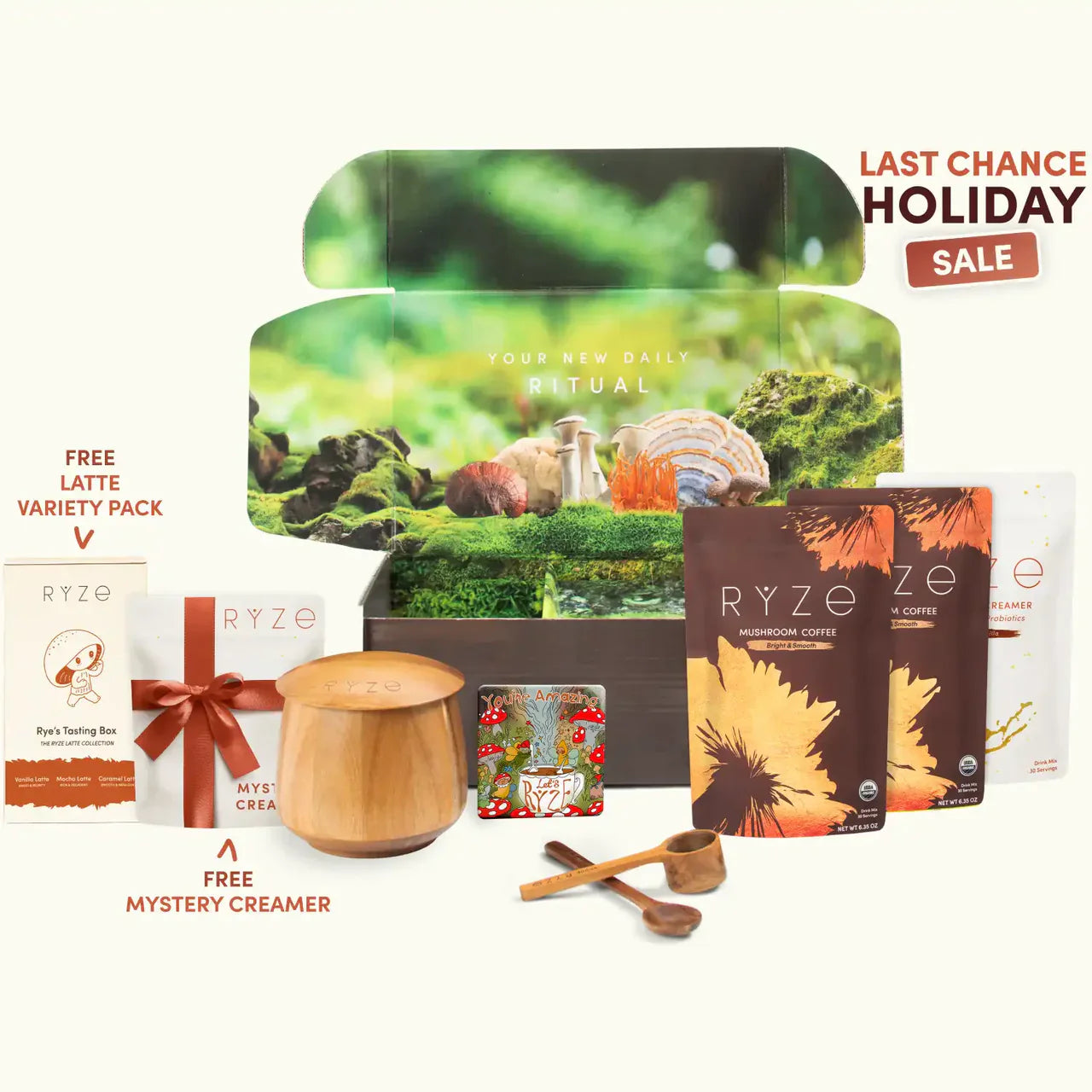 Mushroom Coffee RU31E