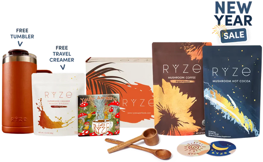 Day + Night Bundle 40PLP