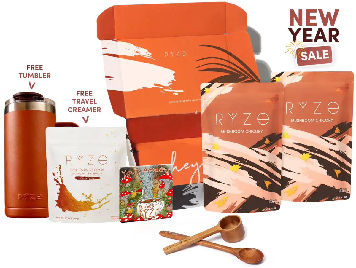 Starter Kit 6MTX2