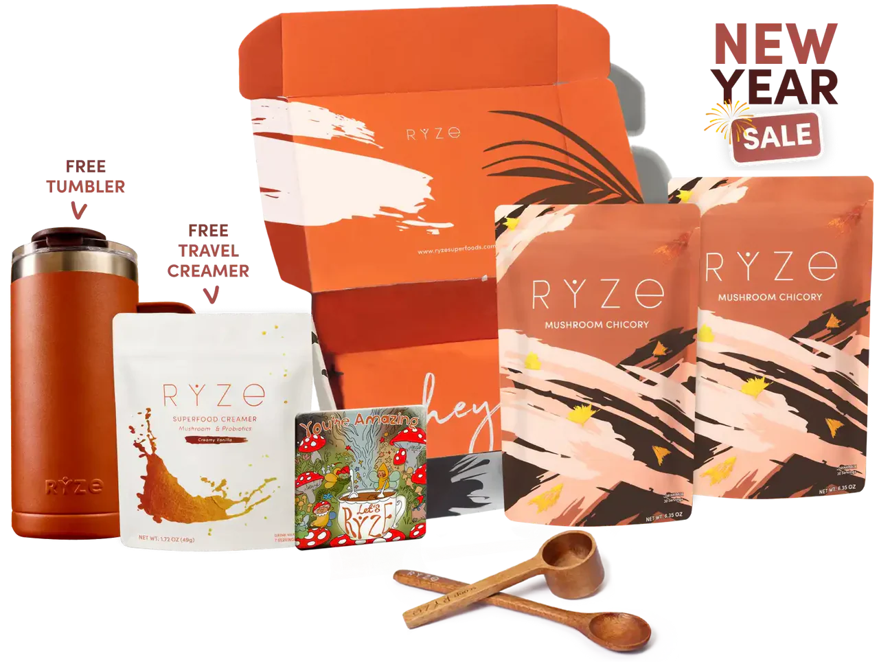 Starter Kit 6MTX2
