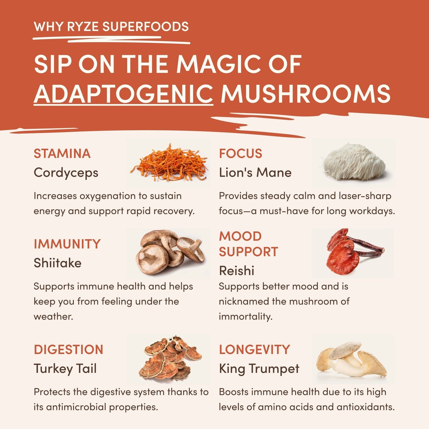 Superfood Creamer E6APF